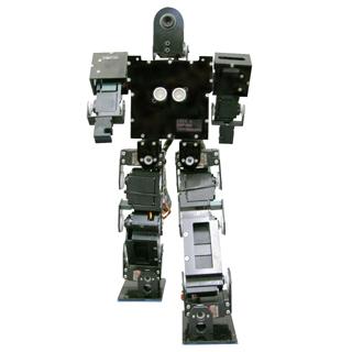 LUCY II Humanoid Robot from Dajin Robot