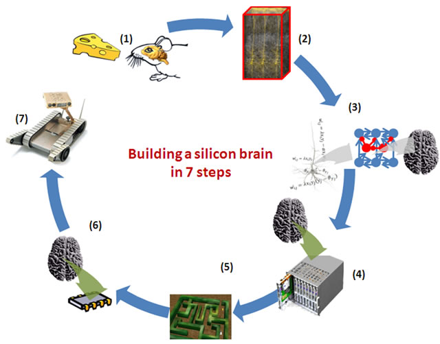 Building a silicon brain in in seven steps.