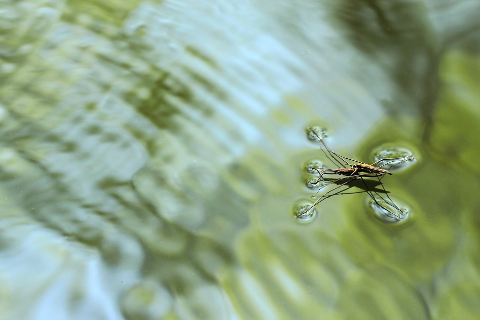 ImageForArticle_20_15809807697838064.png
