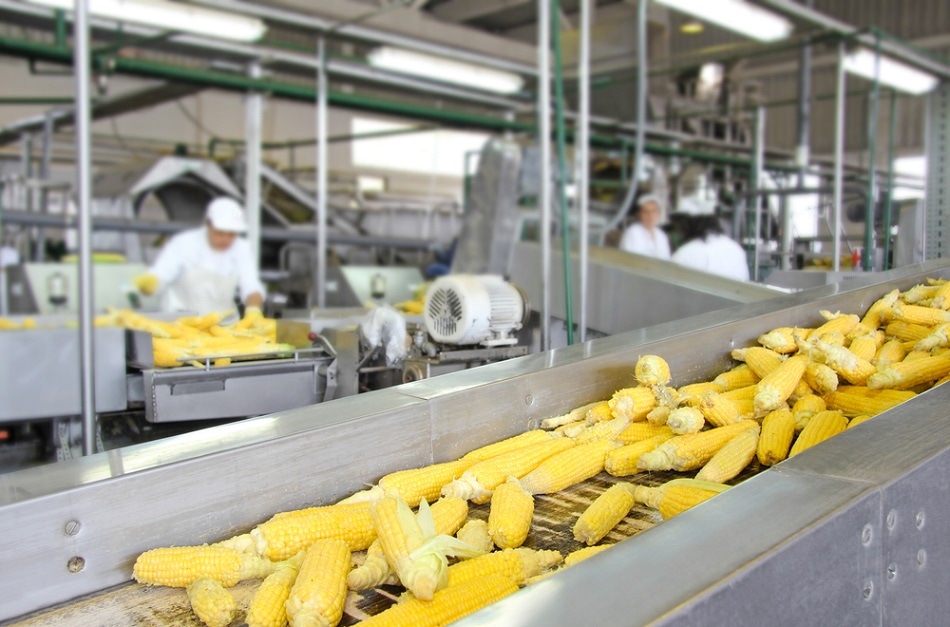 industrial food sorting