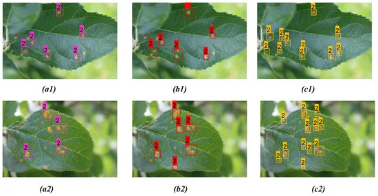 Comparison of detection result for apple rust on two distinct apple leaves from three models: (a1, a2) YOLOv3; (b1, b2) YOLOv4; (c1, c2) proposed model.