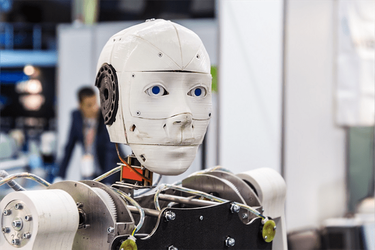 social robot