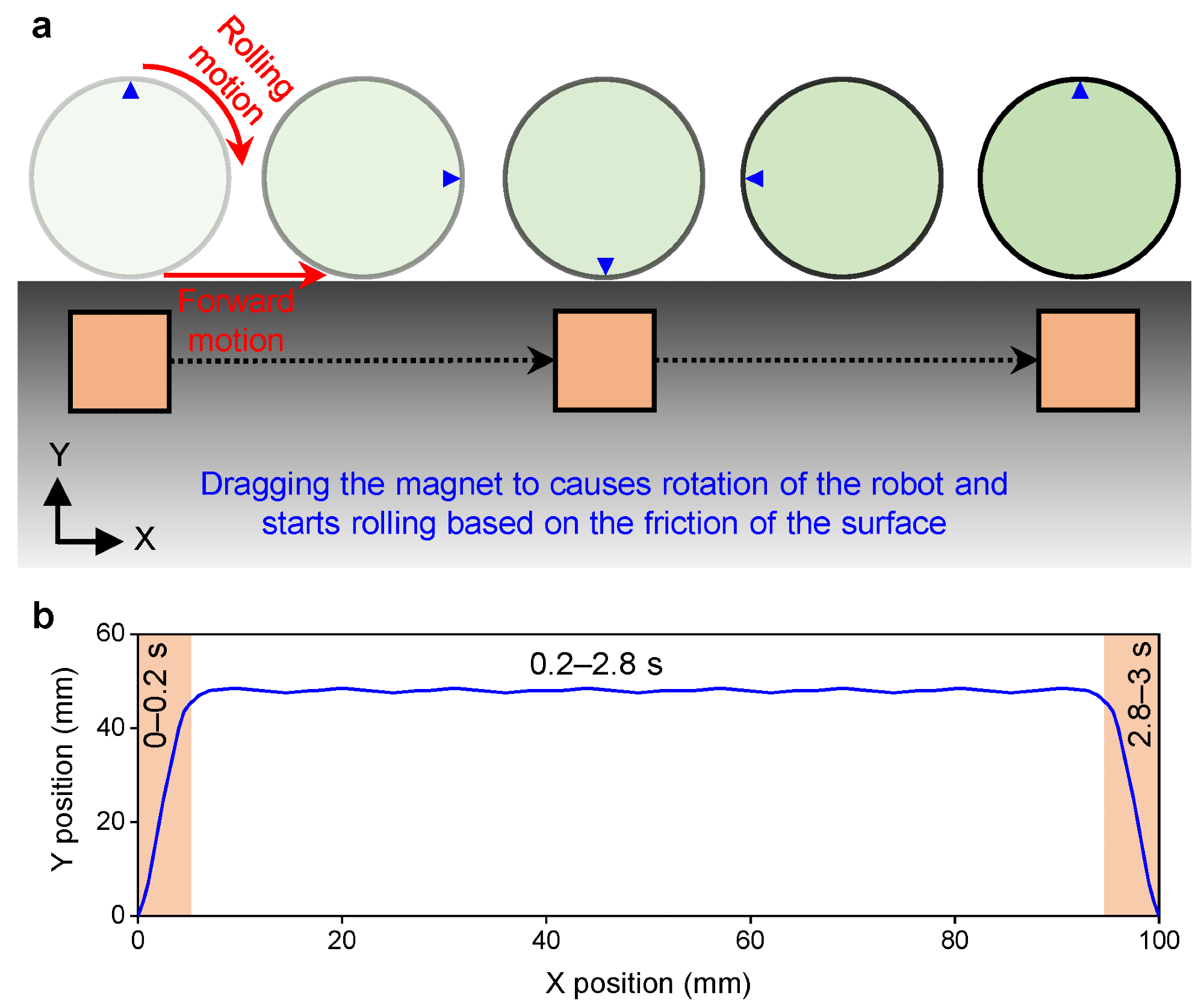(a) Schematic showing the actuation mechanism of the rolling motion of the robot. (b) Pathway of the actuating magnet to generate the rolling motion of the robot