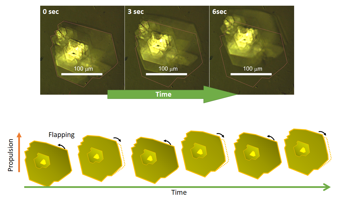 Making Molecular Microrobots a Reality.