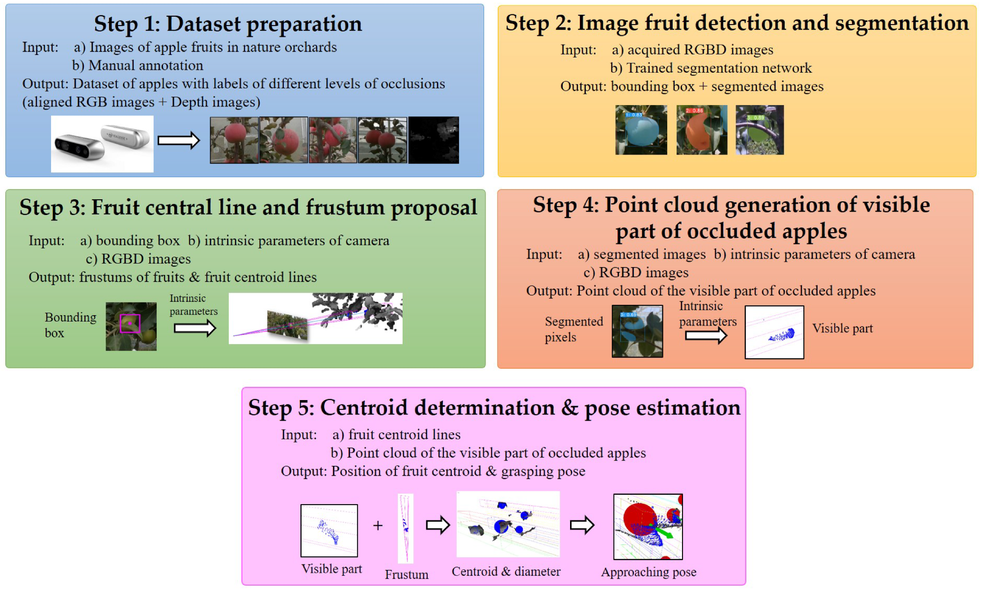 The overall workflow of the proposed method for occluded apple localization.