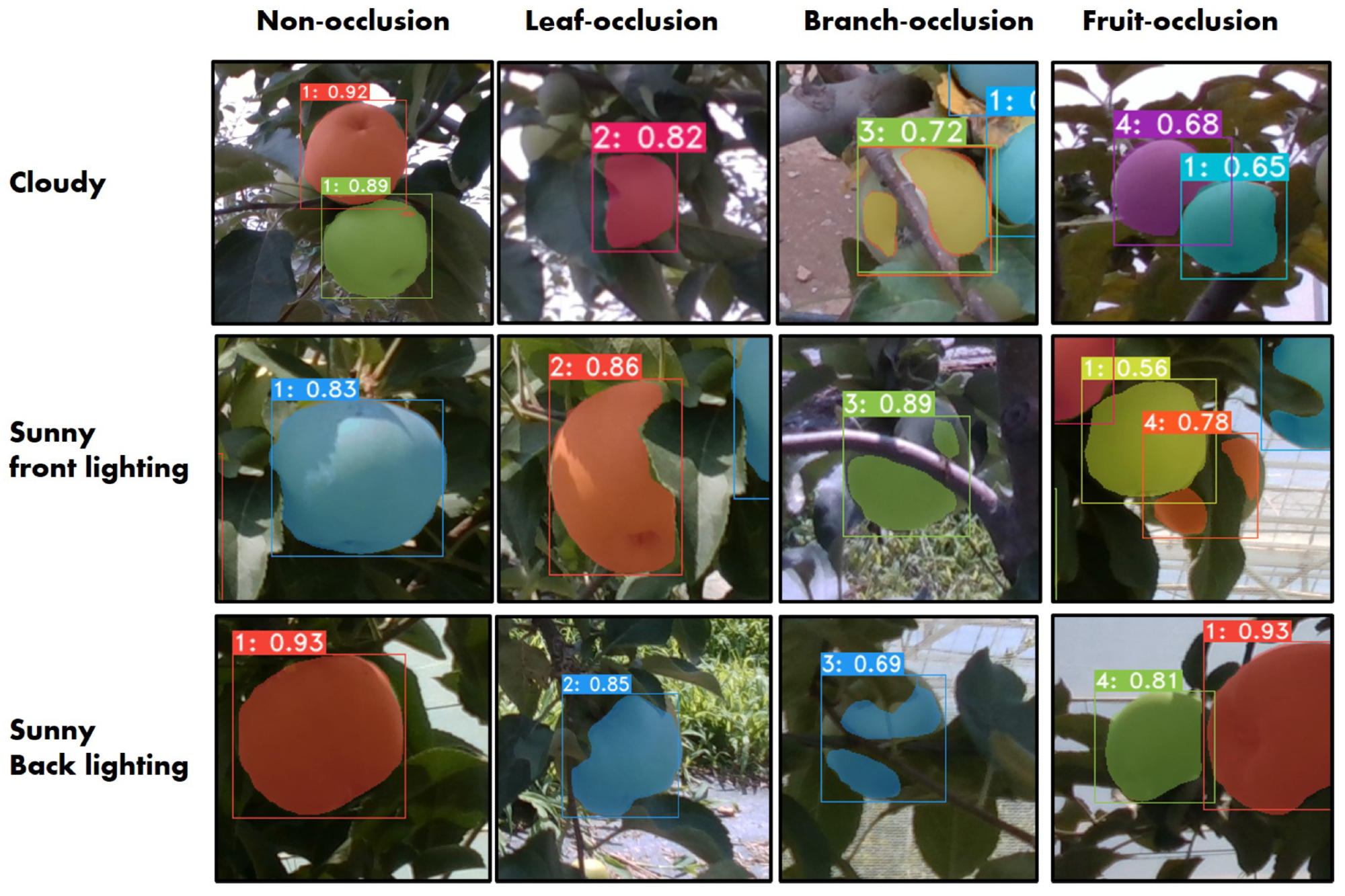 Detection results of YOLACT++ (ResNet-101) under different illuminations and occlusions. The numbers on the bounding boxes denote the classes of the targets, Class 1: non-occluded, Class 2: leaf-occluded, Class 3: branch/wire-occluded, Class 4: fruit-occluded.