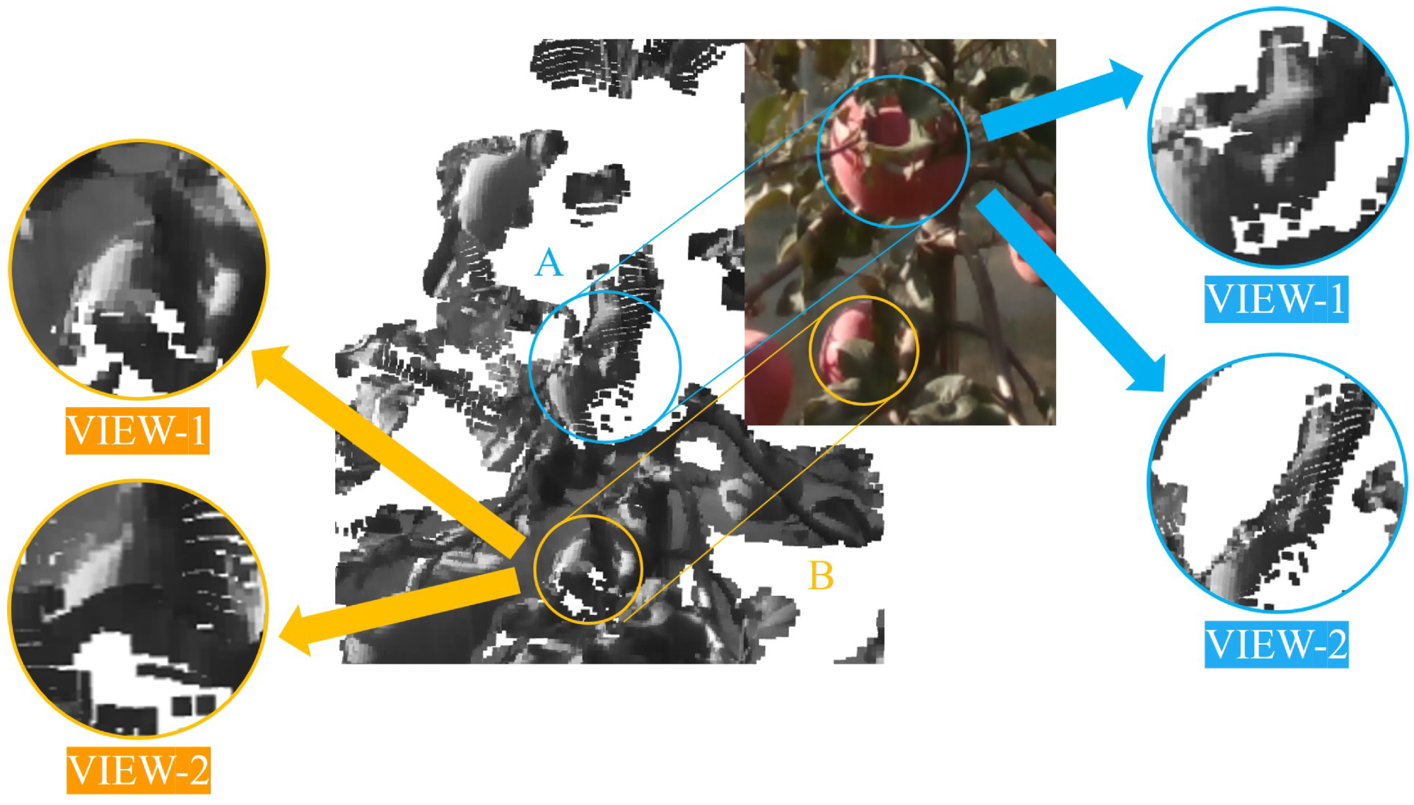 Distortion and fragments of the point clouds of the partially occluded fruits (Target A and Target B).