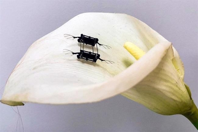 Artificial Muscles that Enhance the Performance of Flying Microrobots.
