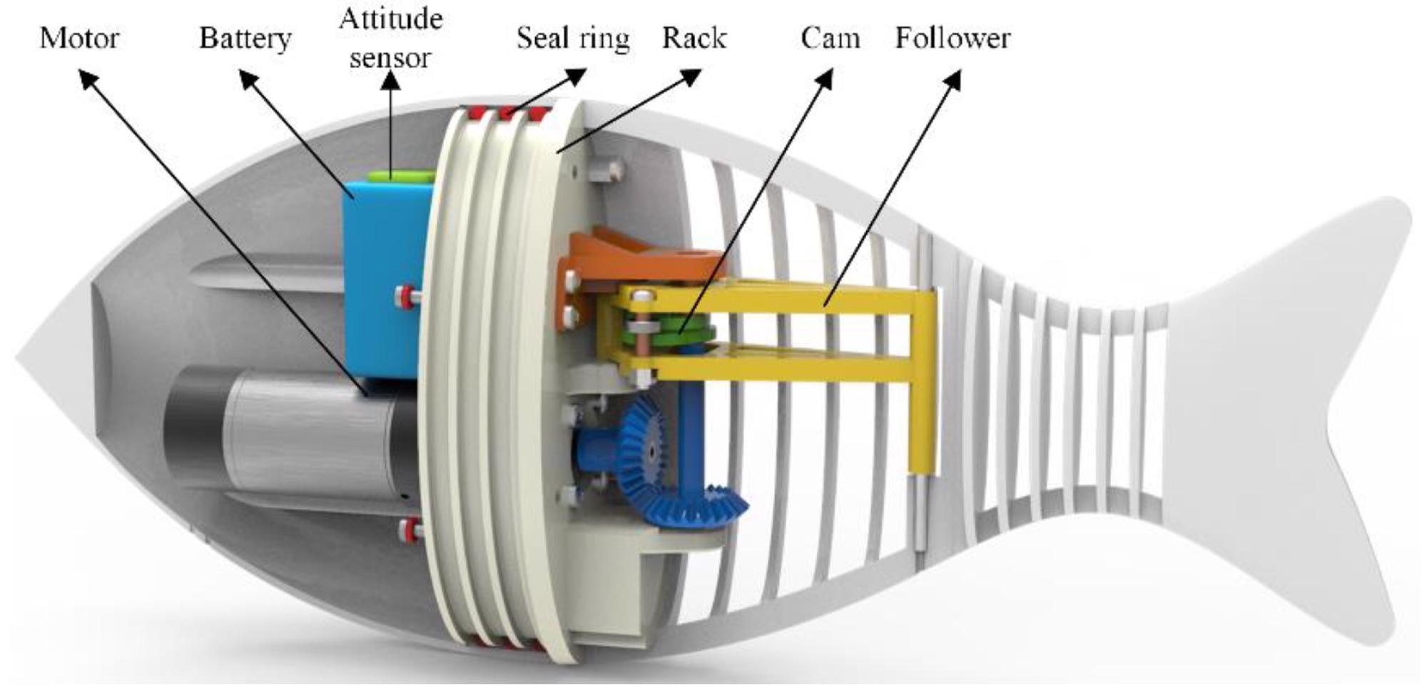 The structural model of the proposed robotic fish.