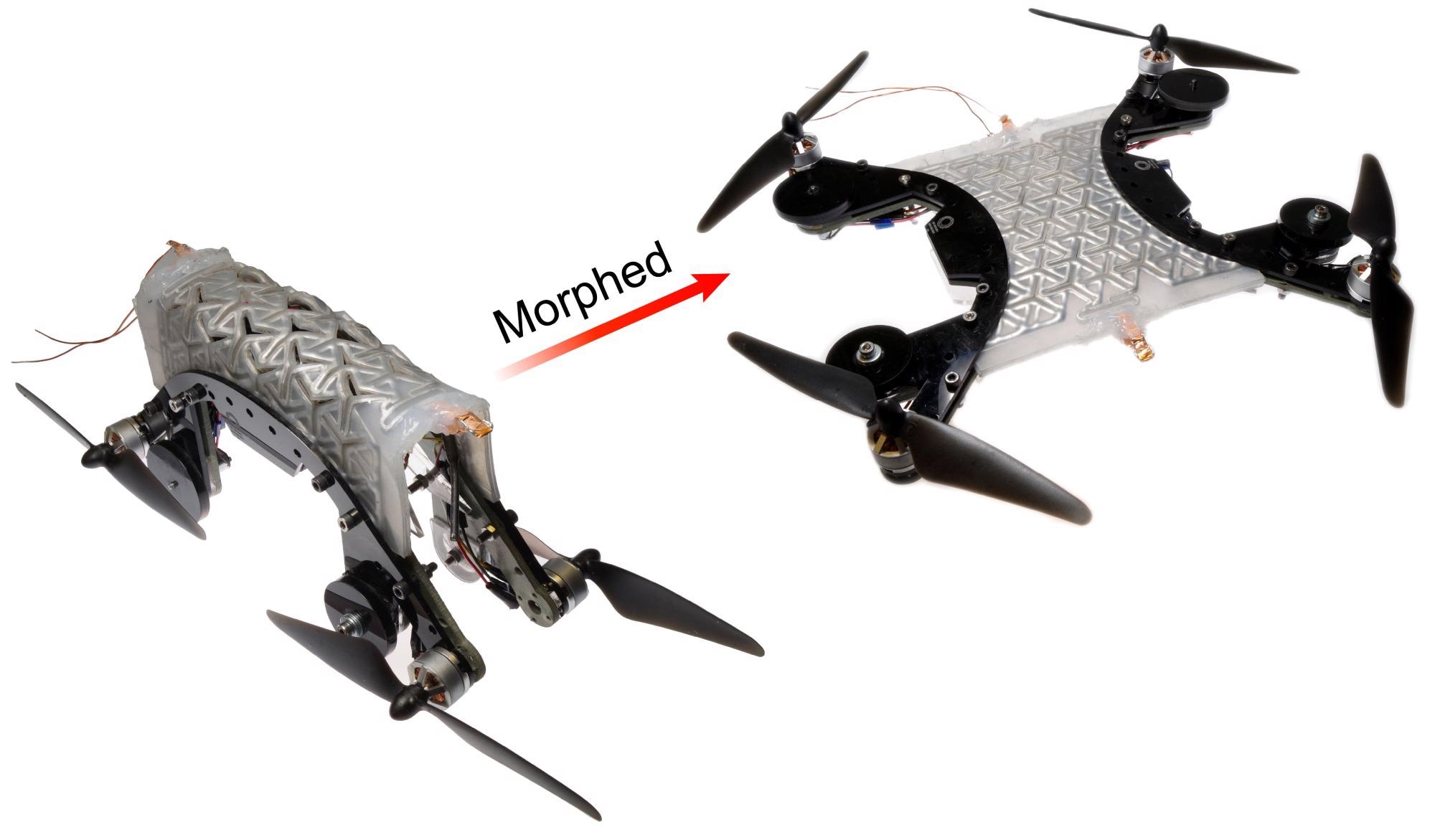 Multifunctional Shape-Morphing Material for Soft Robots.
