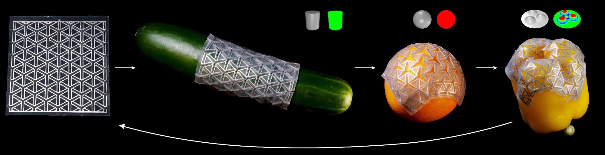 Multifunctional Shape-Morphing Material for Soft Robots.