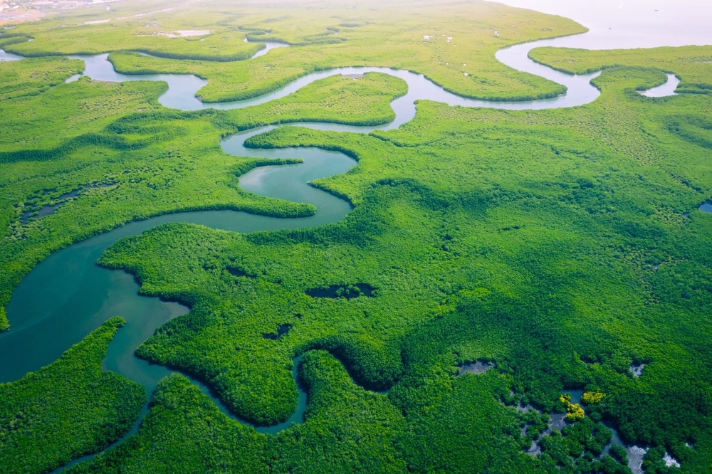 Can Drones Help Conservation Efforts?