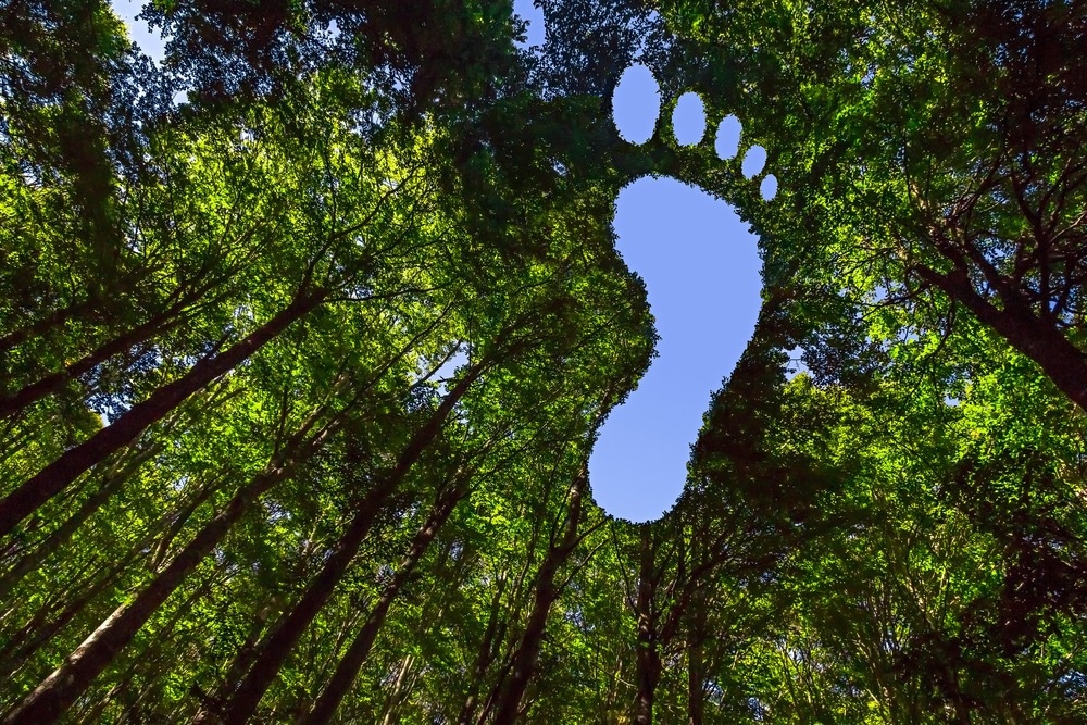 Tracking AI