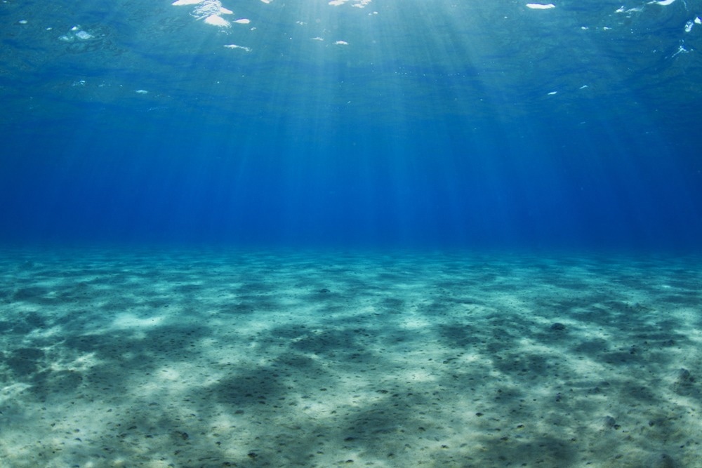 New Robot Collects Rare and Valuable Metals from the Seabed