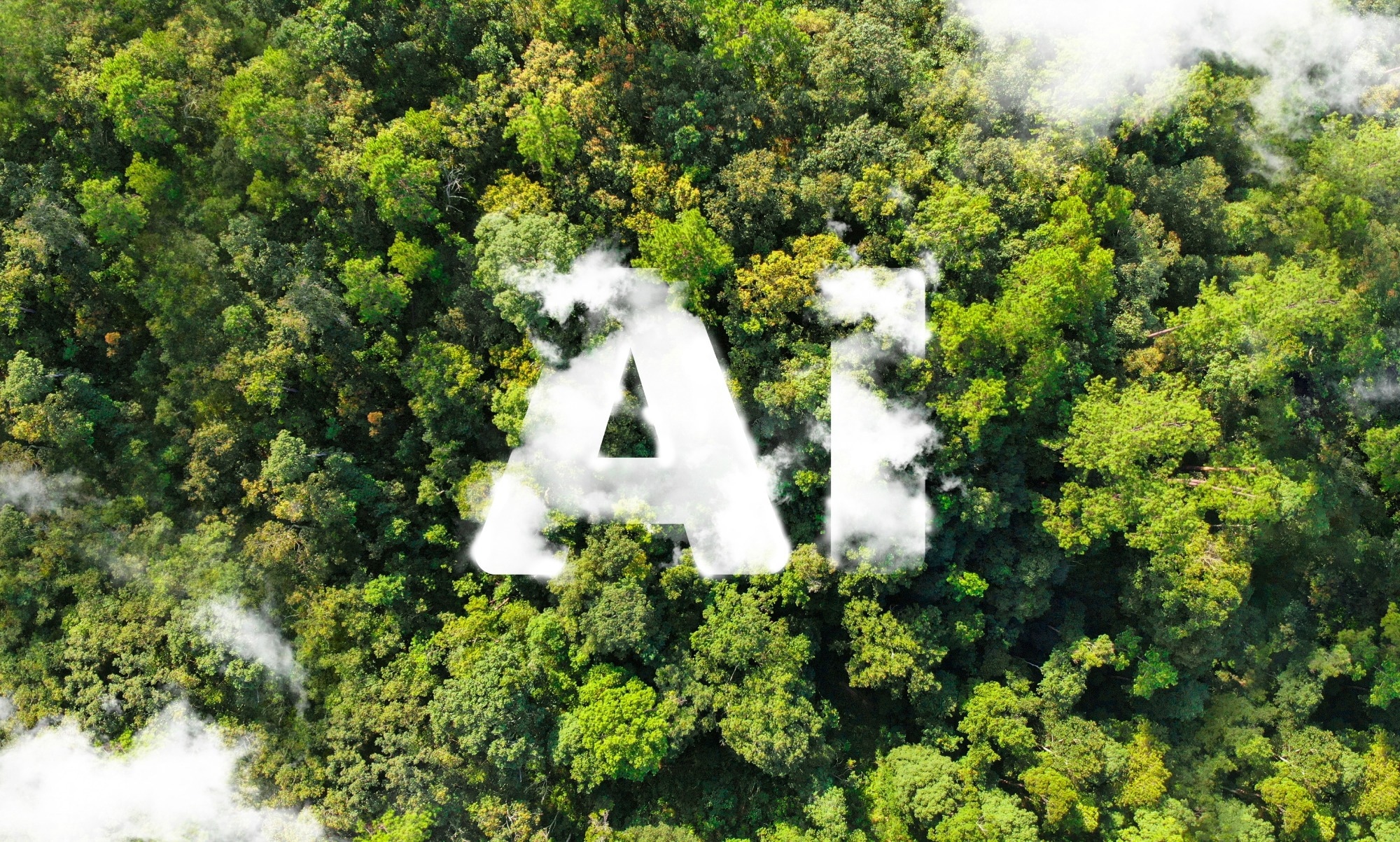 The word "AI" on the background of a forest.