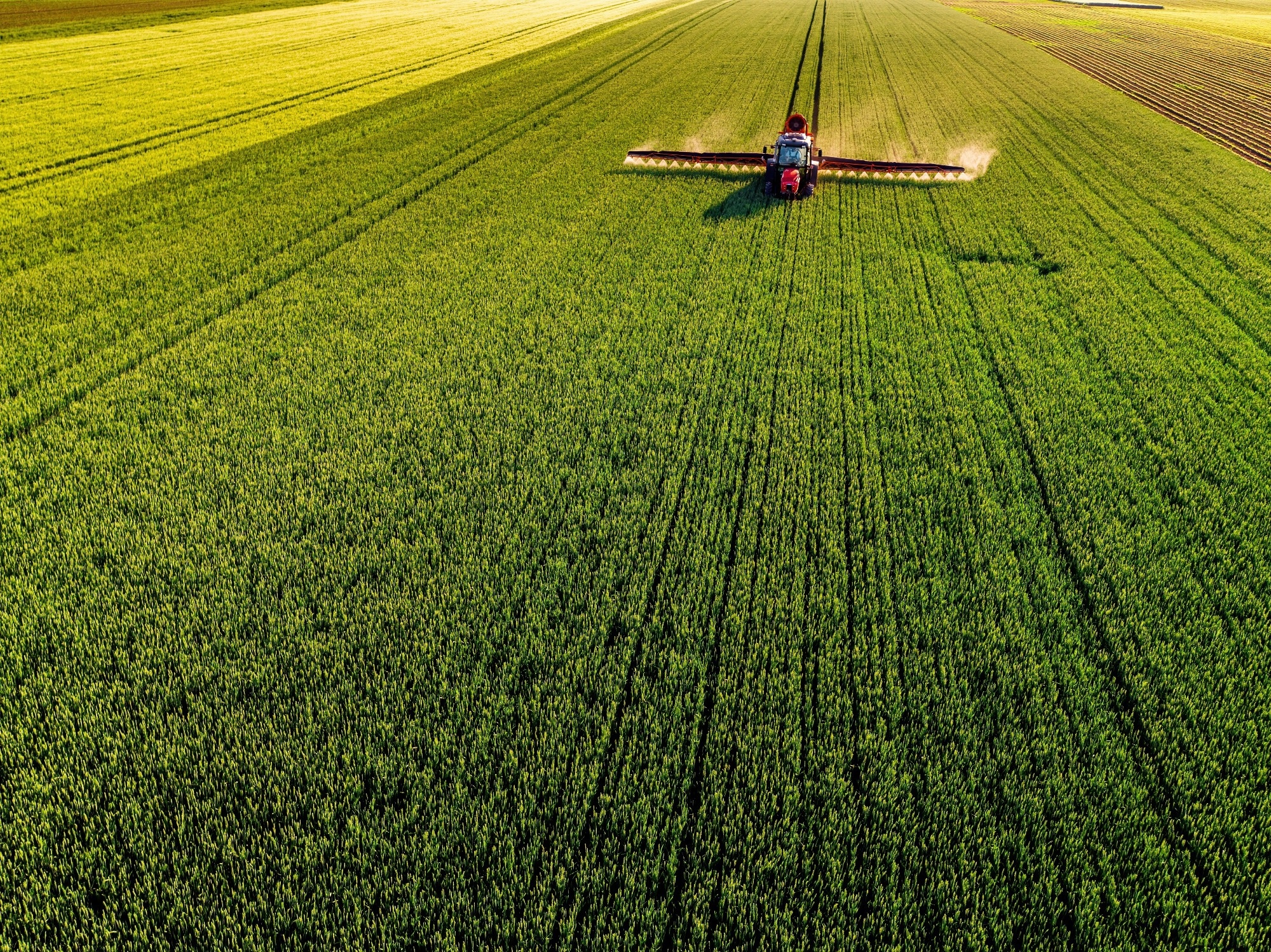 Drone shot of a red tractor applying treatment to wheat crops in vast farmland.