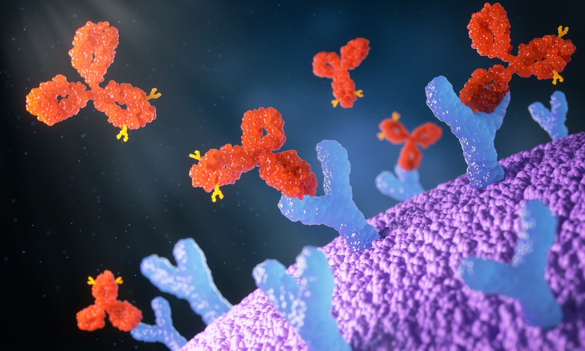 Antibodies attack a cancer cell or bacterium, 3d illustration.