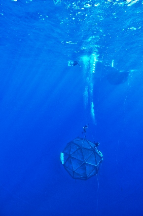 Mobile Fish Pen