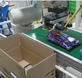 Packaging and Material Handling Robots
