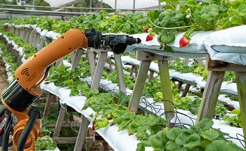 Precision Agricultural Robotics