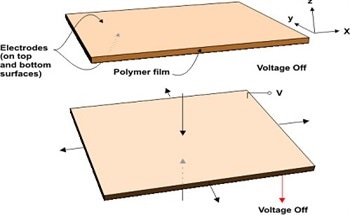 Artificial Muscle Technology