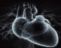 Electrical Safety Testing for the World's Most Advanced Cardiac Robotic Technology