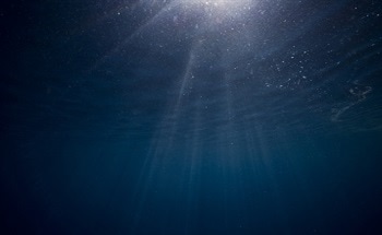 Eco-Robots Can do the Underwater Tasks That Humans Cannot