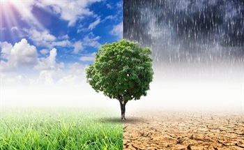 Using Drones to Predict Climate Change