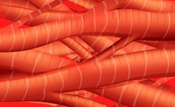 3D Printed Muscle Tissues