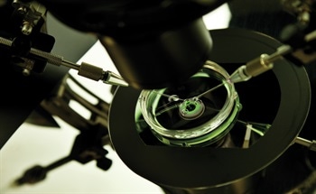 An Introduction to the Robots that Use 3D Microscopy