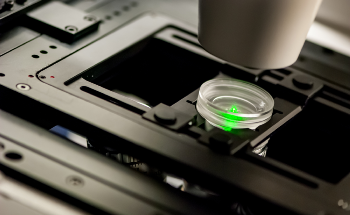 Applications of Laser Scanning Microscopy in Robotics