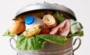 From Farm to Fork: Cutting Down on Food Waste with Machine Learning