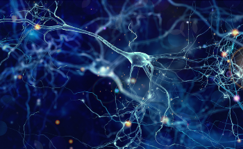 Genetic Algorithms for Acquired Behavior