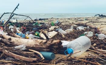 The Role of Robots in Anti-Pollution Strategies
