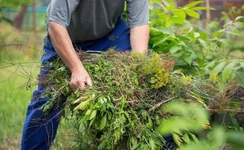 Precision Weed Control Using UAVs, Machine Learning and Advanced Sensors