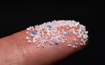 Are Nanorobots the Solution to Microplastic Removal?
