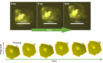 Making Molecular Microrobots a Reality