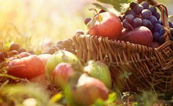 Novel 3D Fruit Localization Method to Enhance Agricultural Robots