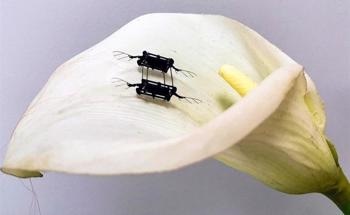 Artificial Muscles Enhance the Performance of Flying Microrobots