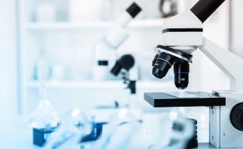 Employing AI for Prostate Cancer Prediction on Biopsies