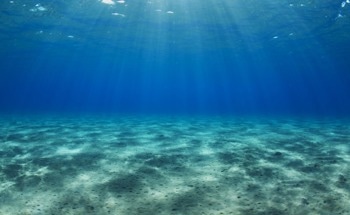 New Robot Collects Rare and Valuable Metals from the Seabed