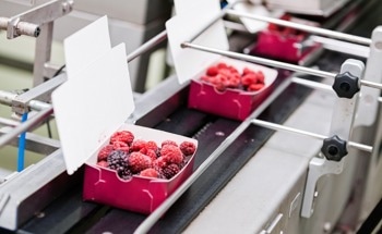 Efficient and Accurate Food Portioning and Cutting