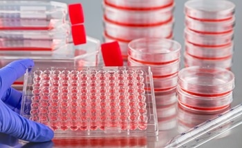 The Use of Robots in Automated Cell Culture