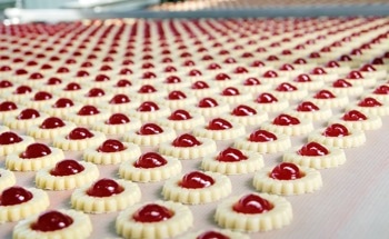 Do Robots Struggle to Handle Delicate Food?