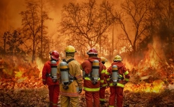 Using Drones to Tackle Wildfires