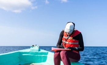 Underwater Robots in Marine Research