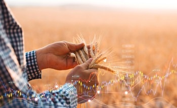 Should We Look to AI to Improve Crop Yield?