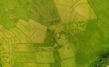 What Can You Do with Farm Drones? Exploring Their Functions