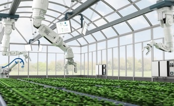 What is the Future of AI in Robotics?