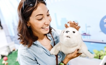 The Science Behind PARO: The Therapeutic Companion